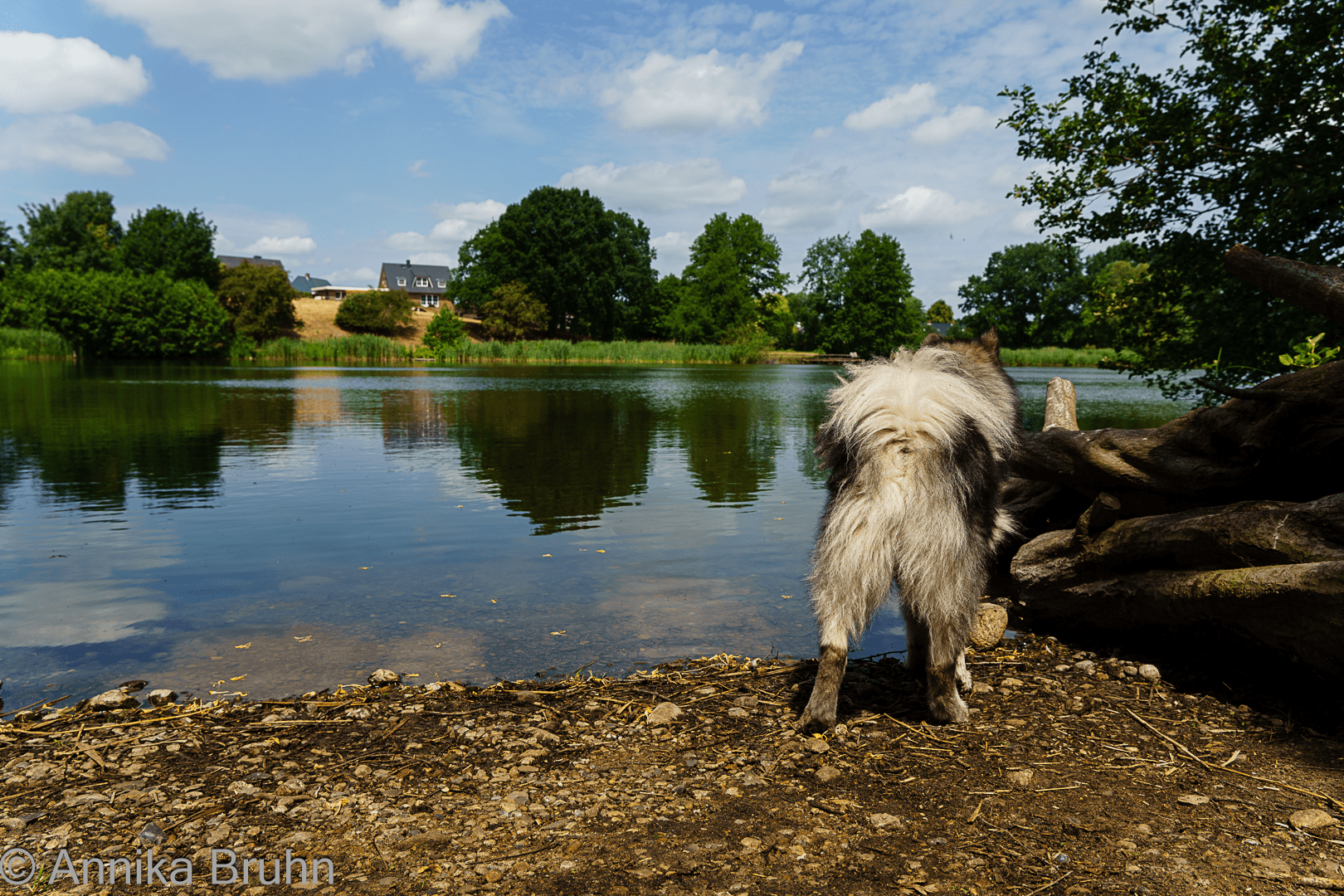 Q am Borgdorfer See
